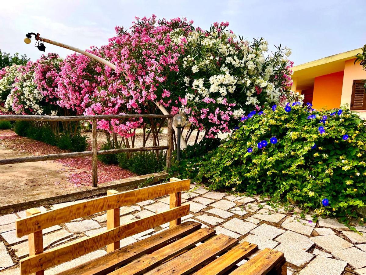 Hotel Velasole Позада Екстериор снимка